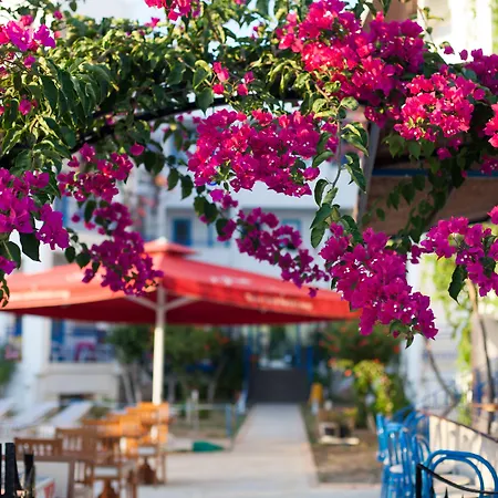 One Day Szálloda 3*