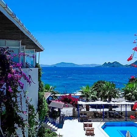 One Day Hotel 3*