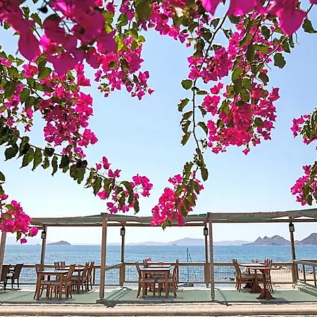 One Day Hotel Turgutreis