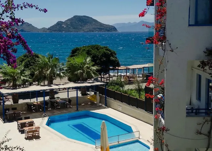 One Day Тургутрейс