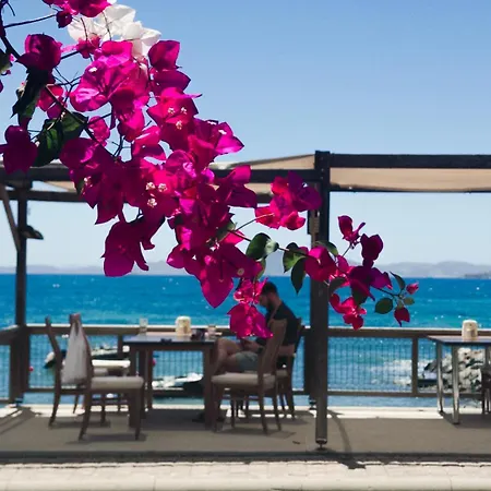 One Day Hotell 3*
