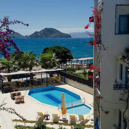 One Day トゥルグトレイス