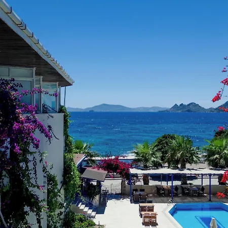 One Day トゥルグトレイス