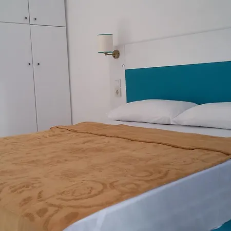 One Day トゥルグトレイス